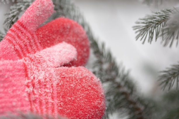 冬天森林里的红色手套。冰冻的植物。有选择性的重点。图片下载