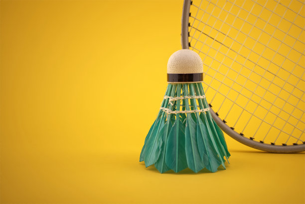 羽毛球羽羽毛球靠近羽毛球拍图片下载