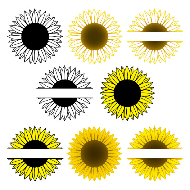 向日葵。把字母组合。矢量纸切割模板。向日葵的轮廓。花的轮廓。图片下载