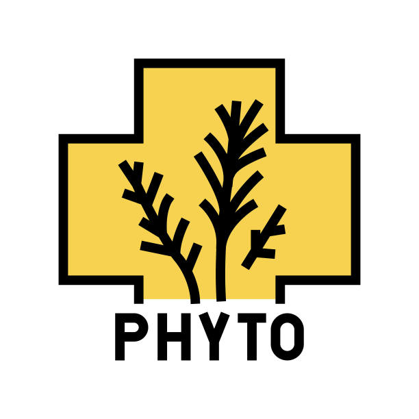 自然植物疗法颜色图标矢量插图图片下载