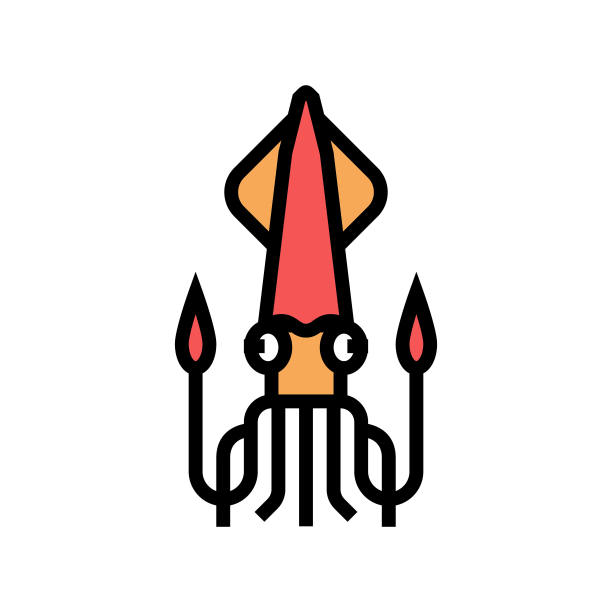 头足类鱿鱼海洋颜色图标矢量插图图片下载