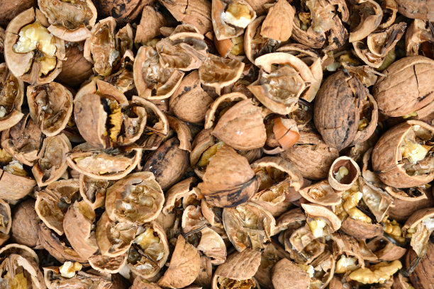碎胡桃和榛子壳背景图片下载