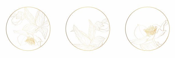 女性标志设计模板在时尚线性最小的风格。海葵花。象征，符号和图标的化妆品，珠宝，美容和手工产品。图片下载