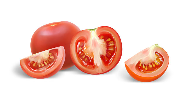 一组真实风格的红色新鲜番茄的静物画图片下载