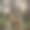 大自然中被遗弃的扶手椅和路边的垃圾图片下载