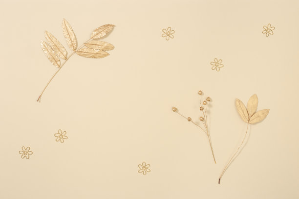 秋季布局与山灰叶在中性米色金色。秋天的季节，秋天的概念。图片下载