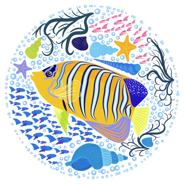 帝王神仙鱼，帝王鲳鱼上白图片下载