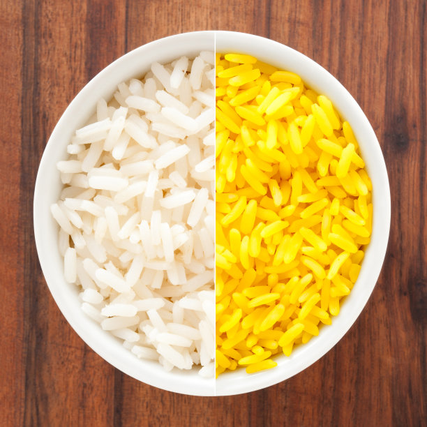 白米和藏红花组成图片下载