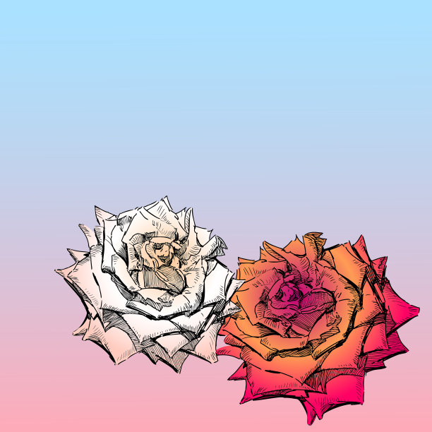 贺卡与素描精致的红色和图片下载