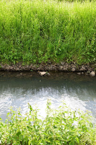 靠近池塘。春天在西欧图片下载