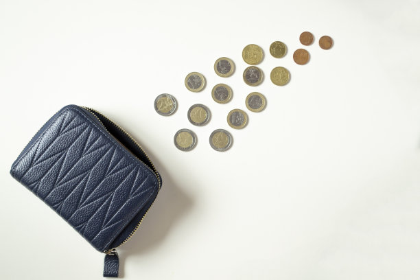 深蓝色的女性钱包和不同面额的欧元硬币在白色的背景。与地方的文本。图片下载