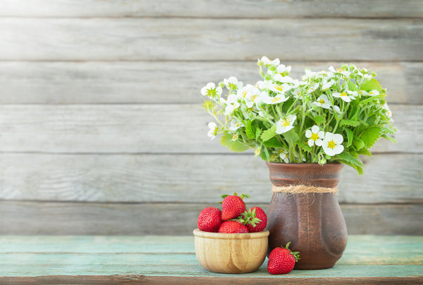 草莓和鲜花图片下载