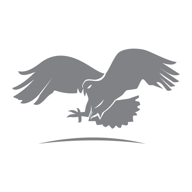 鹰鹰动物象征创意奢华现代图片下载