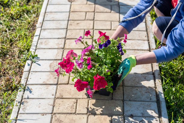一个女人在花园里种了又种。图片下载