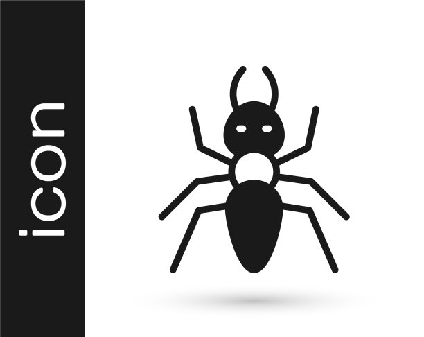 黑色的蚂蚁图标孤立在白色的背景图片下载