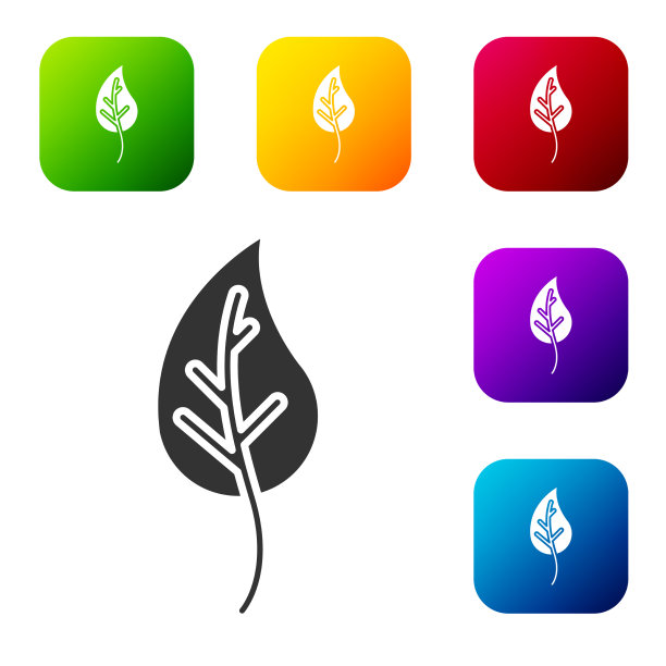 黑色叶子图标孤立在白色背景图片下载