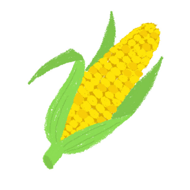 蔬菜玉米插图图片下载