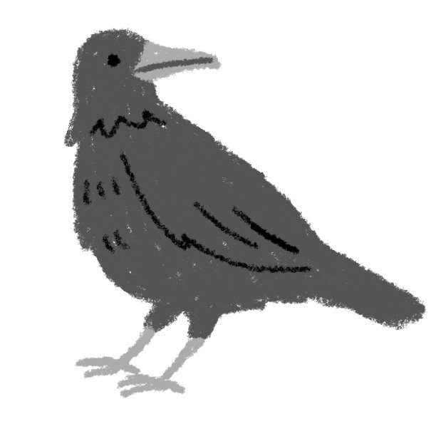 乌鸦插图图片下载