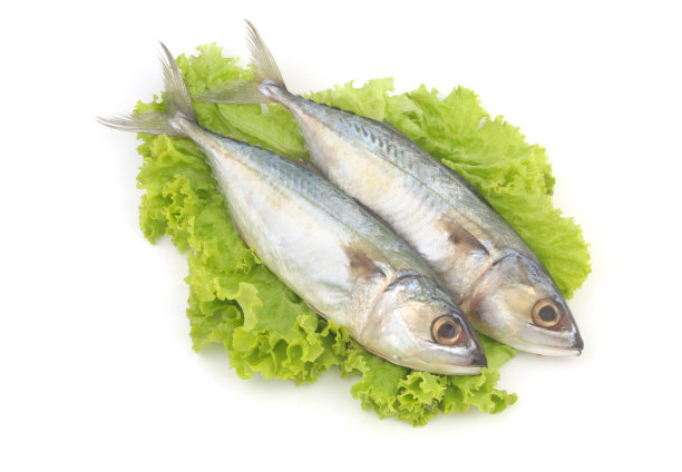 在沙拉上孤立的鲭鱼的叶子图片下载