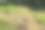 菜园里长满了野草图片下载