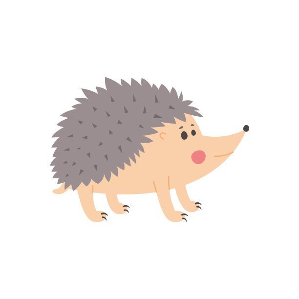 可爱的刺猬孤立在图片下载
