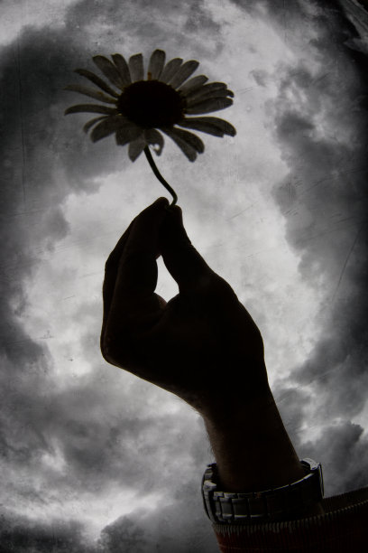 手握鲜花图片下载