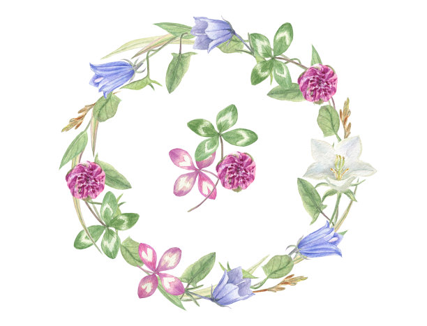 野花花环在水彩画，在白色孤立的背景。优雅美丽的夏日插图。图片下载