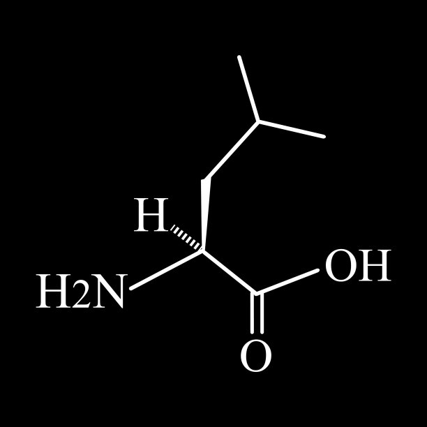 氨基酸亮氨酸的化学分子式图片下载