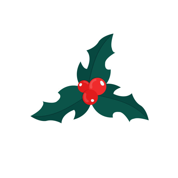 白色背景上的冬青植物图片下载