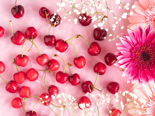 樱花浆果图案与花和花瓣在水粉红色的背景图片下载