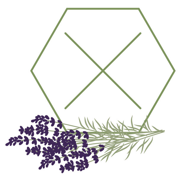 薰衣草图片下载