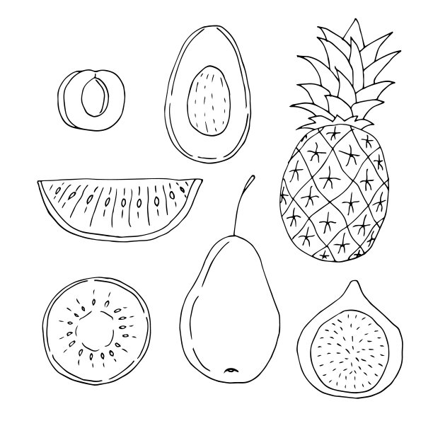 一套水果，杏，鳄梨，菠萝，西瓜，猕猴桃，梨，无花果，矢量插图，手绘涂鸦图片下载