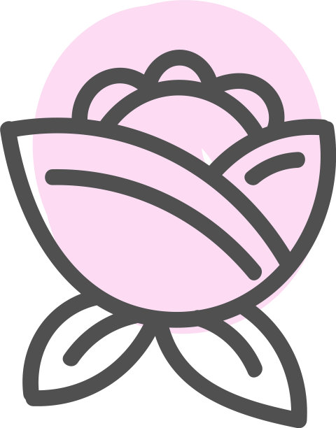 白色背景上的粉红色樱花图片下载