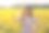 年轻女子农学家戴着牛仔帽，格子衬衫和牛仔裤在向日葵田。丰收的概念。图片下载