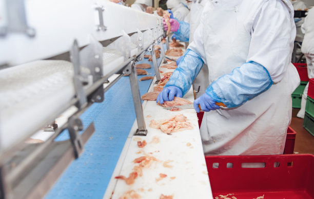 工作的人。生产线在食品工厂库存照片。图片下载