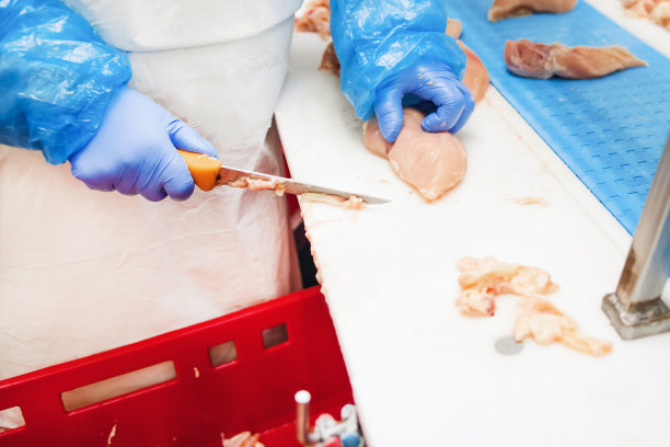 用肉类生产食品的工厂。肉类工厂的工业设备。现代化食品工厂的自动化生产线。图片下载