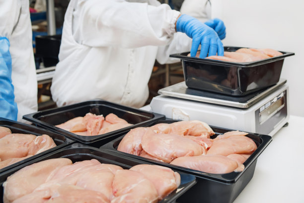 食品、肉类、鸡肉用塑料包装在传送带上。鸡柳生产线。肉类加工设备。用于生产半成品肉制品的生产线。图片下载