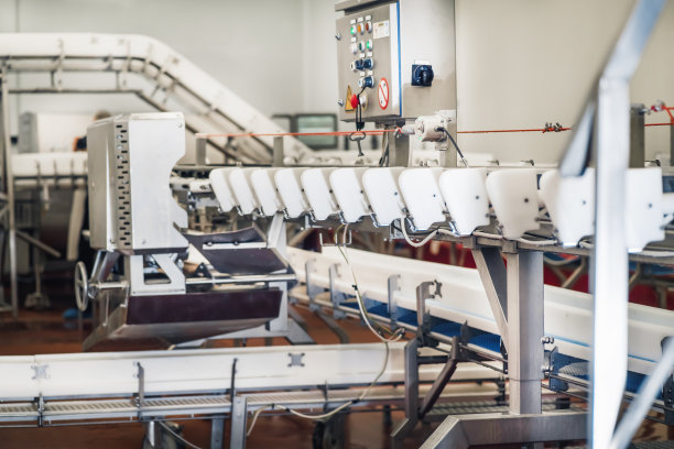 工业生产削减大量肉类。自动化生产线家禽设备。肉类加工厂。图片下载