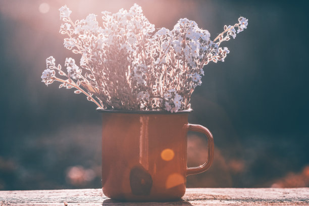 花在一个罐子-复古风格的照片图片下载