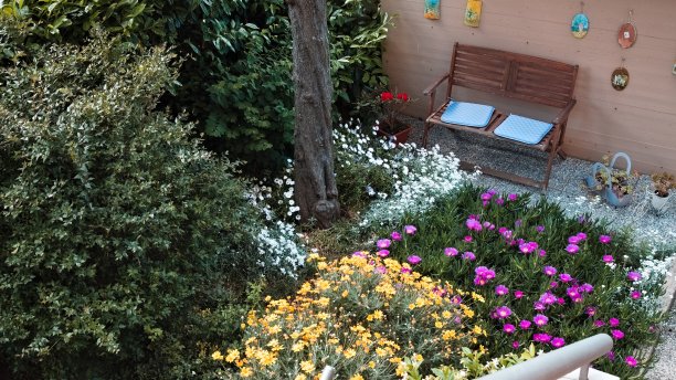 一个充满彩色植物和鲜花的花园，有一个木制的长凳(Pesaro，意大利，欧洲)图片下载