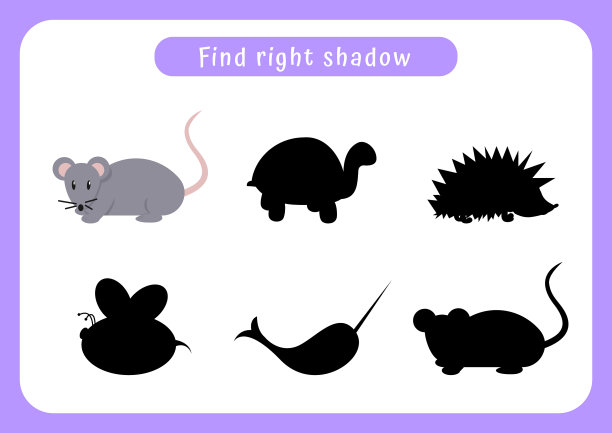 找到正确的阴影教育游戏图片下载