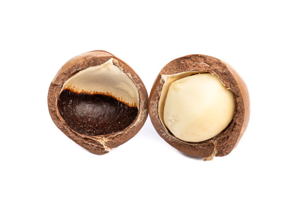 澳洲坚果裂开了图片下载