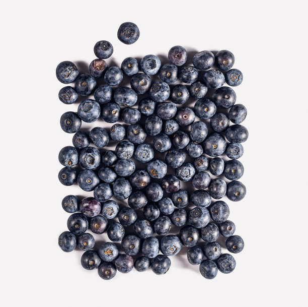 新鲜的蓝莓特写镜头。图片下载