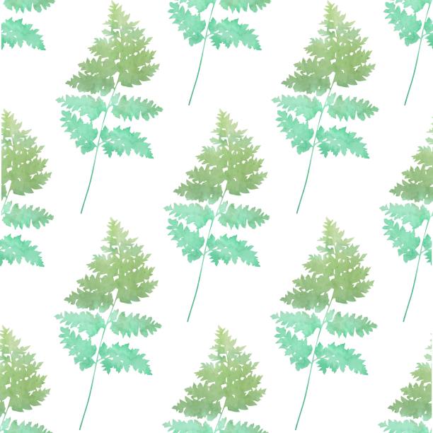 无缝模式水彩蕨类图片下载