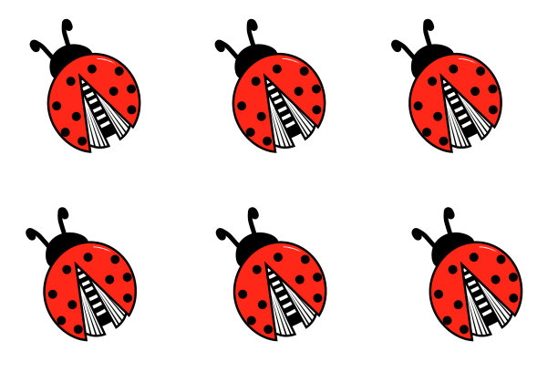 叶子上的瓢虫插图图片下载