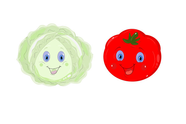 白色背景上的红色番茄和卷心菜，图片下载