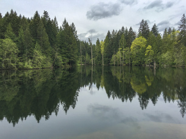绿树倒映在宁静的湖面上图片下载