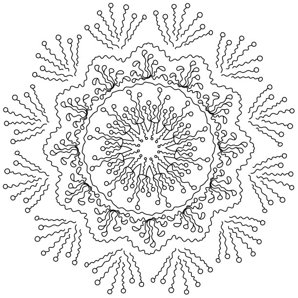 华丽的曼陀罗雪花与波浪线和图片下载