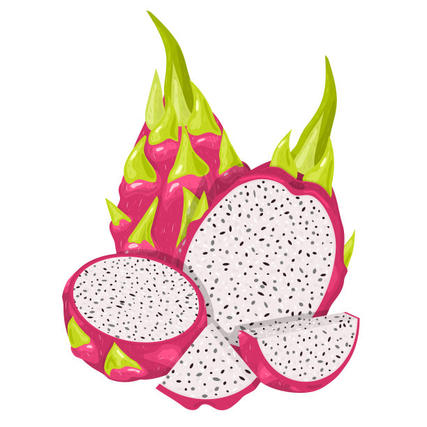将鲜红火龙果整块切成半片图片下载