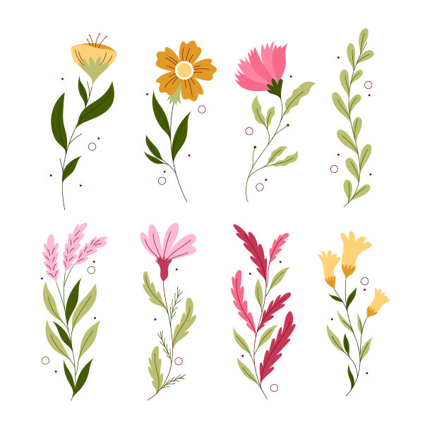 春天的花朵集合图片下载